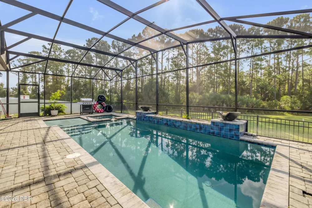 3027 Borassus Drive New Smyrna Beach, FL 32168