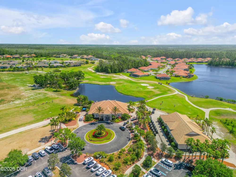 3027 Borassus Drive New Smyrna Beach, FL 32168