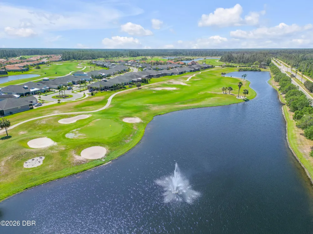 3027 Borassus Drive New Smyrna Beach, FL 32168