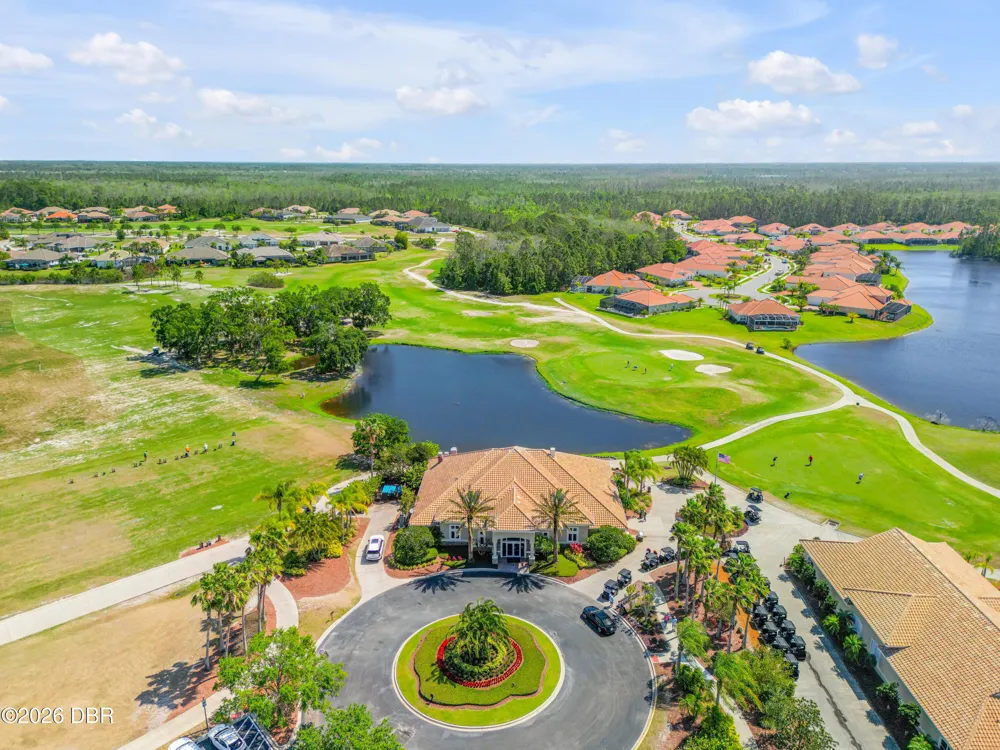 3027 Borassus Drive New Smyrna Beach, FL 32168