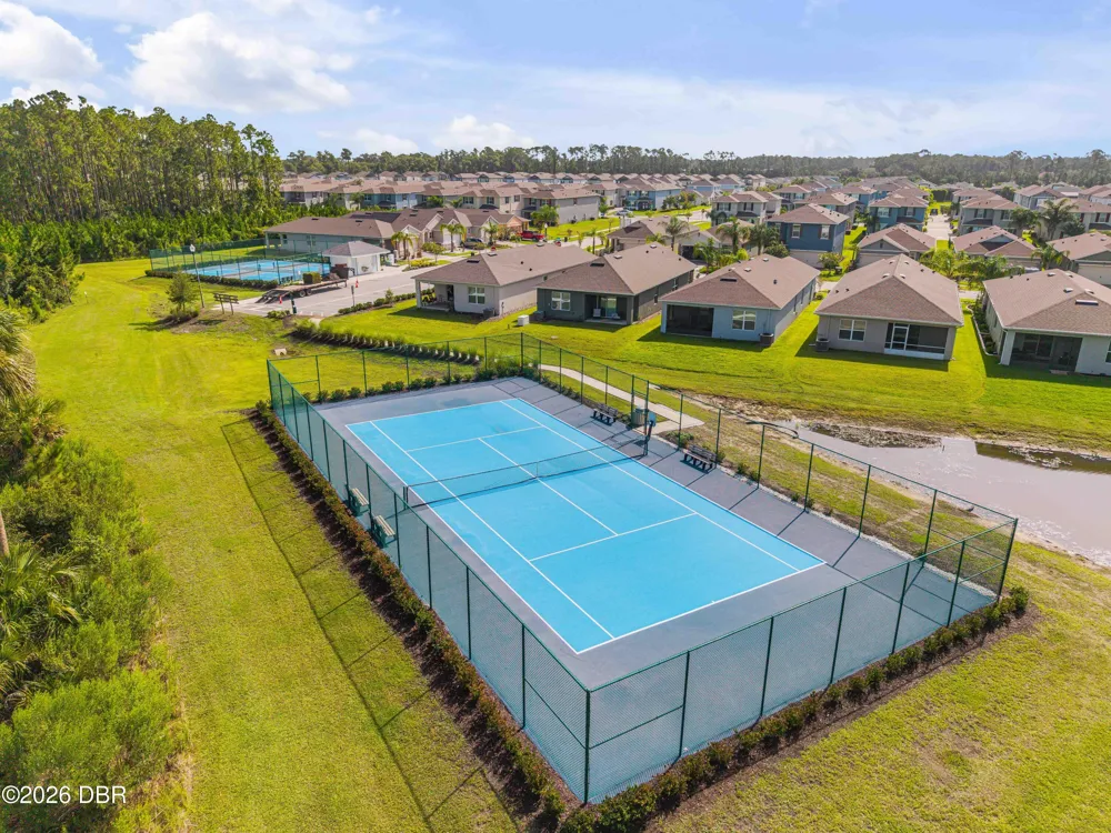 3027 Borassus Drive New Smyrna Beach, FL 32168