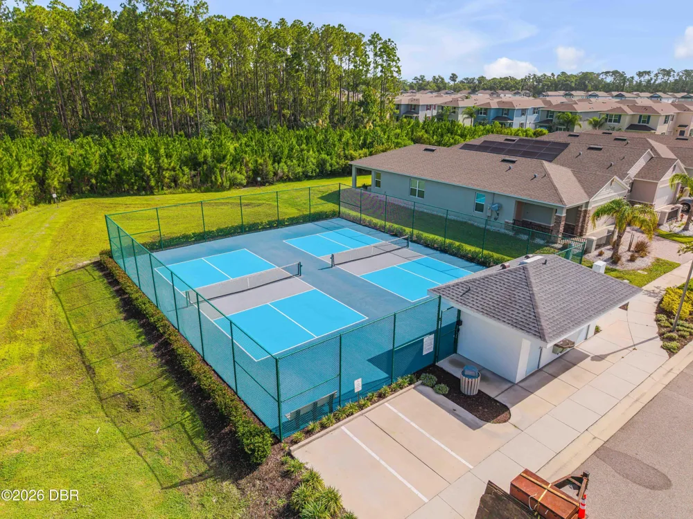 3027 Borassus Drive New Smyrna Beach, FL 32168