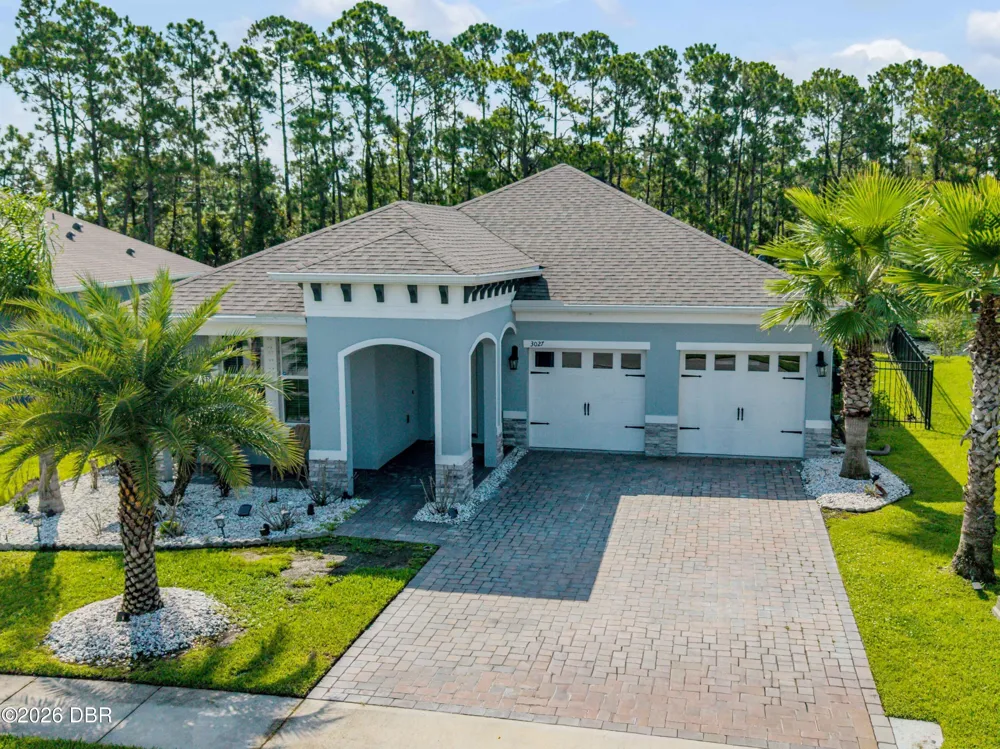 3027 Borassus Drive New Smyrna Beach, FL 32168