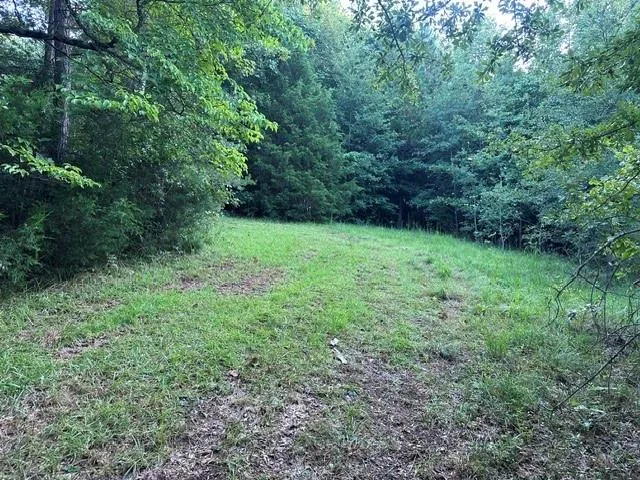 1069 Harbert Valley Road Toccoa, GA 30577