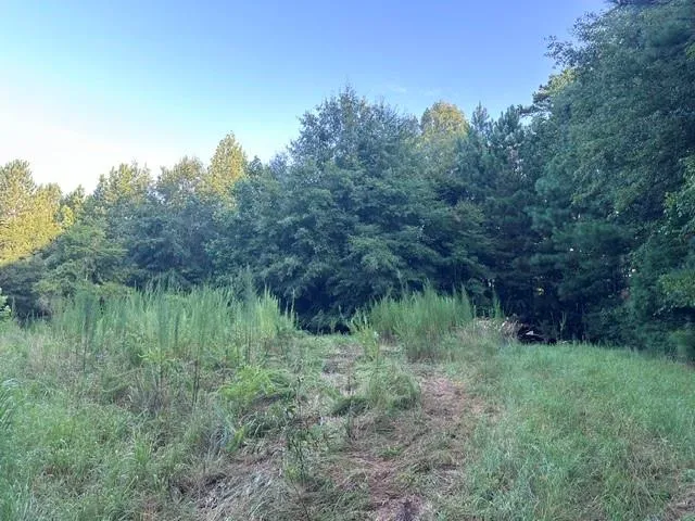 1069 Harbert Valley Road Toccoa, GA 30577