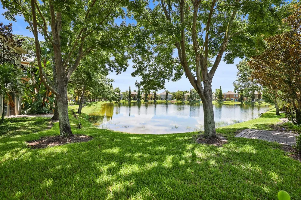9133 MOONLIT MEADOWS LOOP Riverview, FL 33578