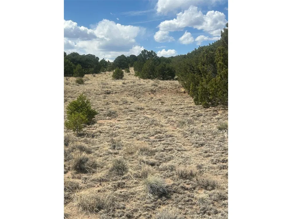 CR 530 Walsenburg, CO 81089