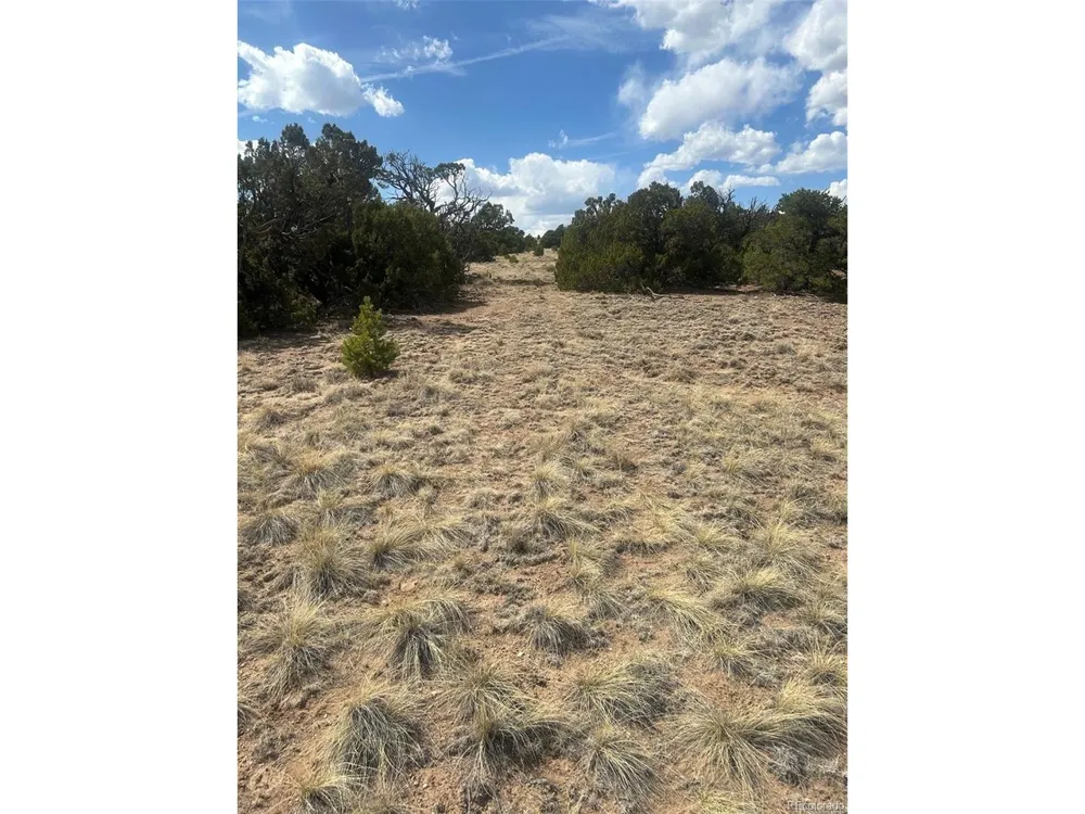 CR 530 Walsenburg, CO 81089