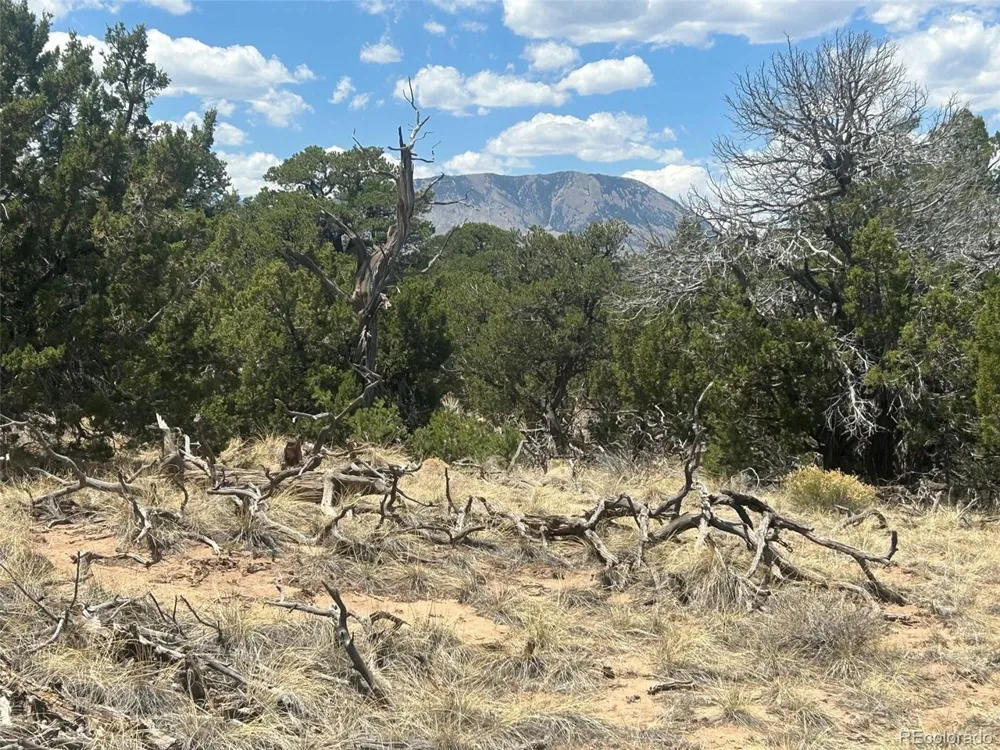 CR 530 Walsenburg, CO 81089