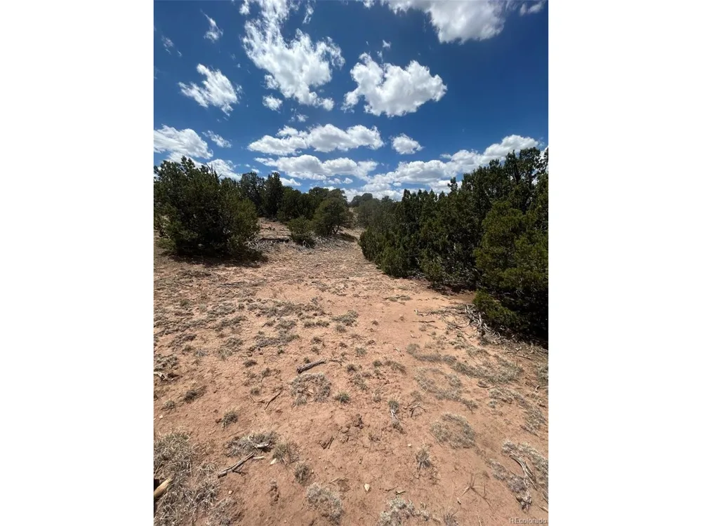 CR 530 Walsenburg, CO 81089