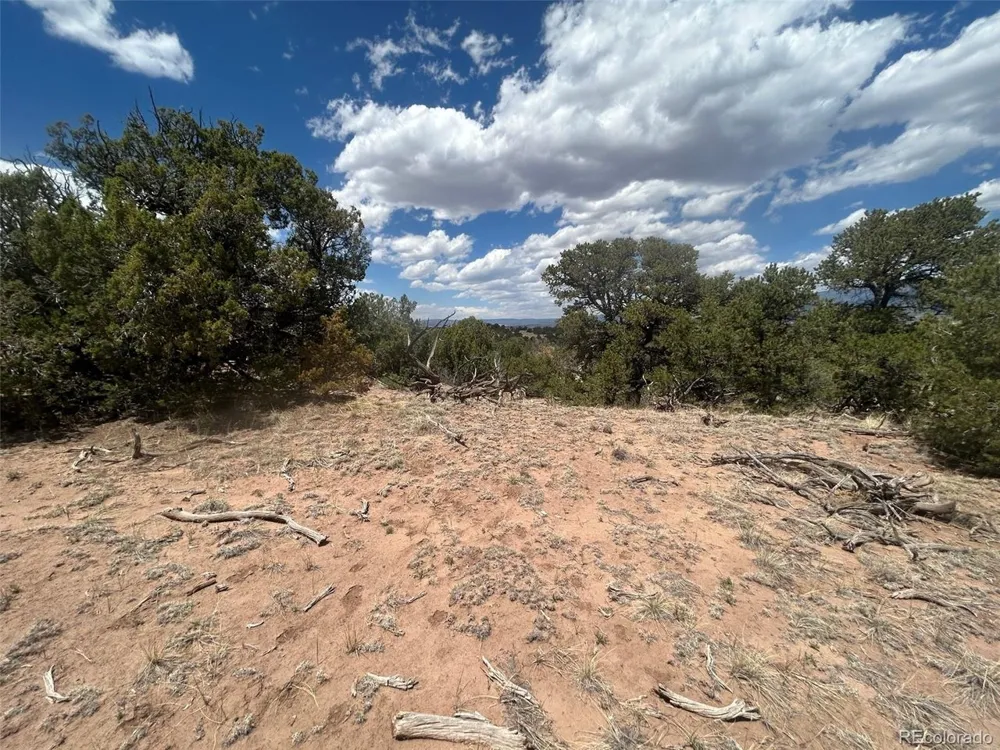 CR 530 Walsenburg, CO 81089