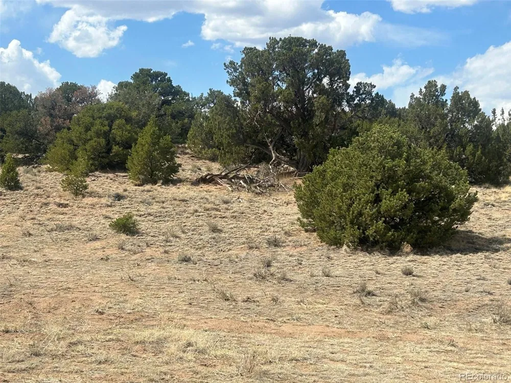 CR 530 Walsenburg, CO 81089