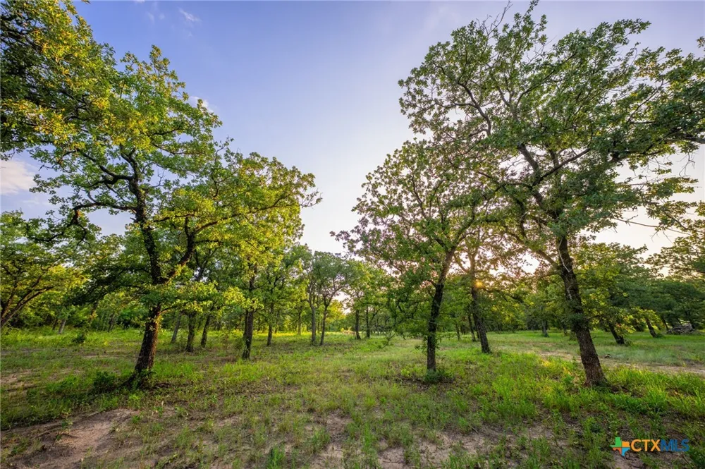 8606 Star Hollow Rd Lipan, TX 76462