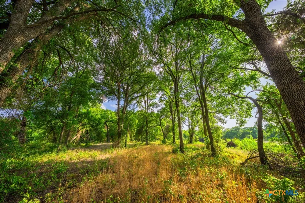 8606 Star Hollow Rd Lipan, TX 76462
