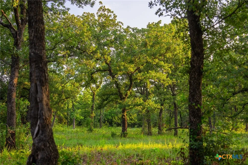 8606 Star Hollow Rd Lipan, TX 76462