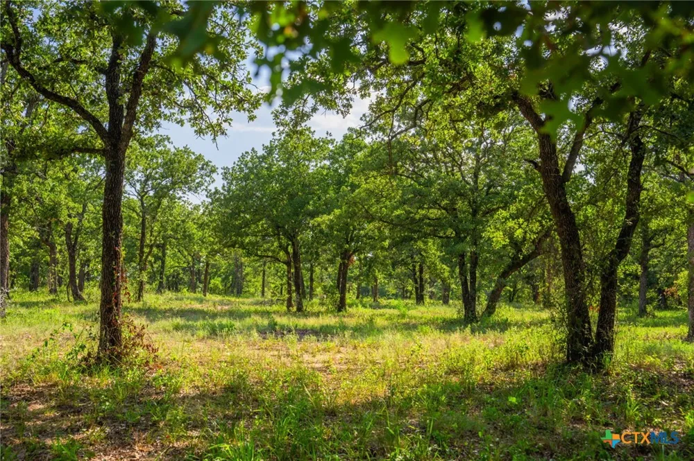 8606 Star Hollow Rd Lipan, TX 76462
