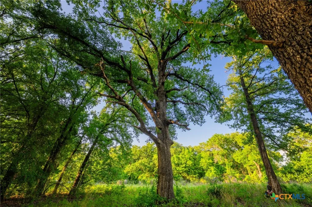 8606 Star Hollow Rd Lipan, TX 76462
