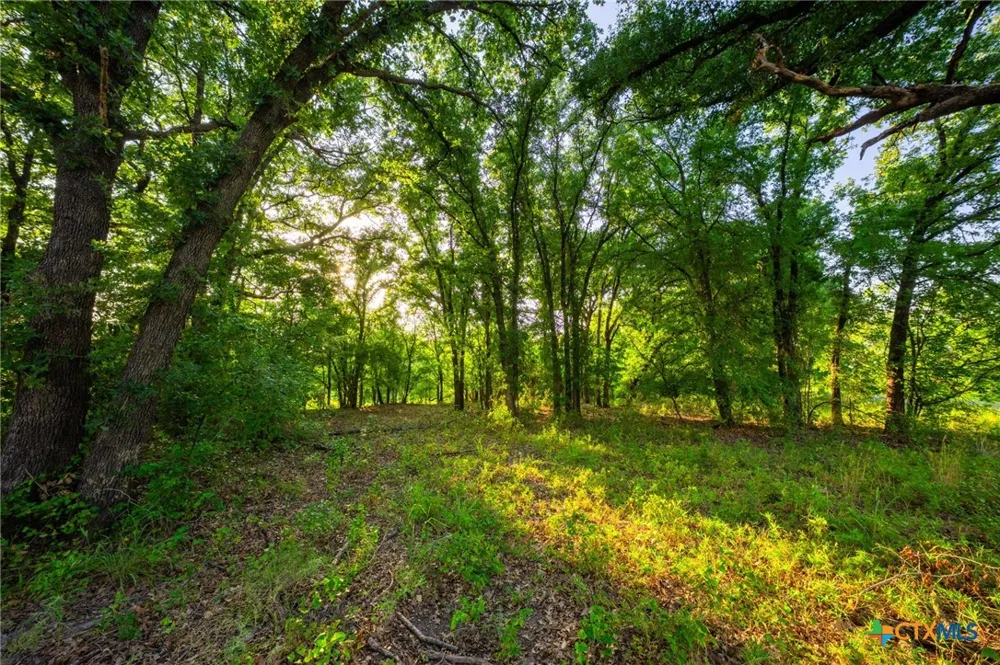 8606 Star Hollow Rd Lipan, TX 76462