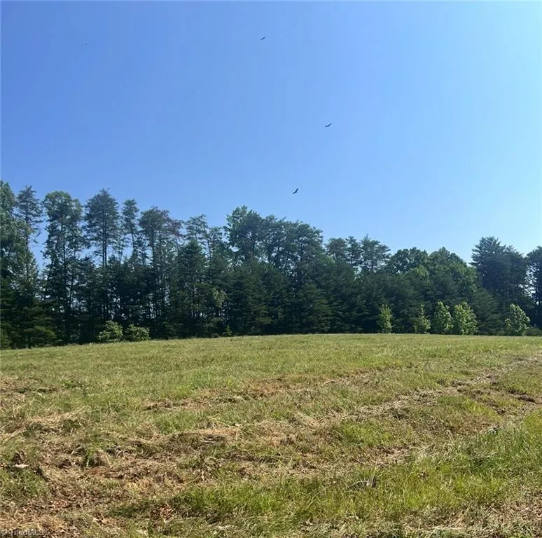 0 Massey Creek Road Madison, NC 27025