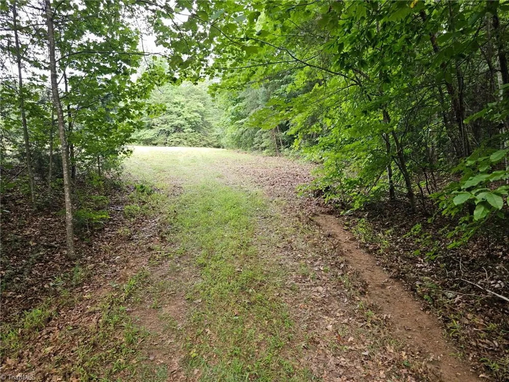 0 Massey Creek Road Madison, NC 27025
