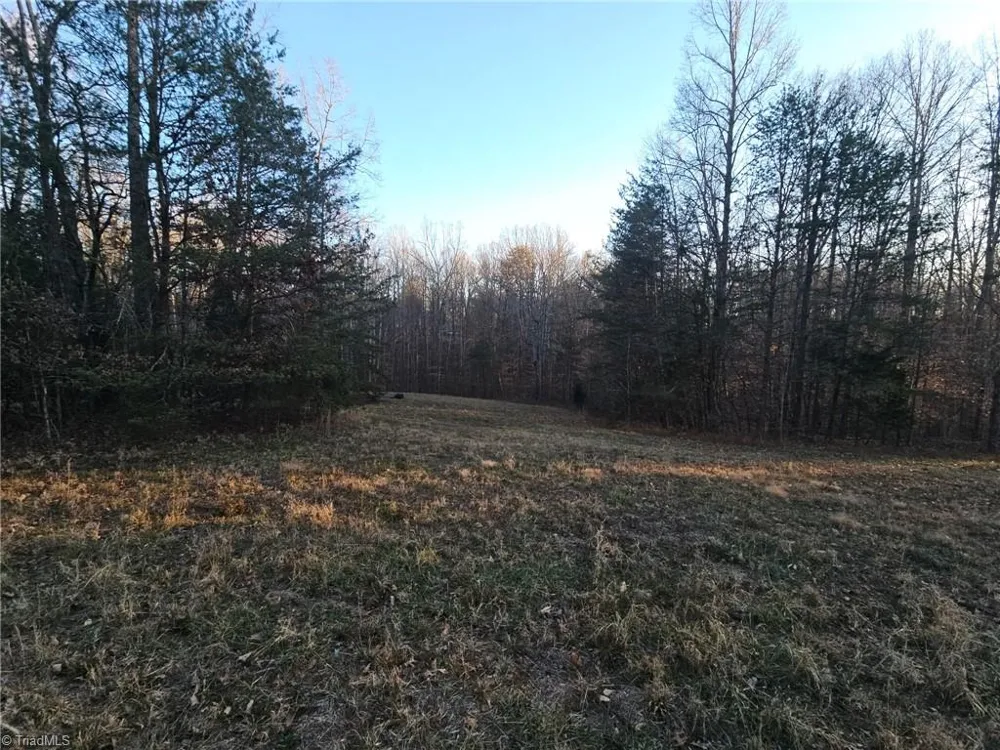 0 Massey Creek Road Madison, NC 27025