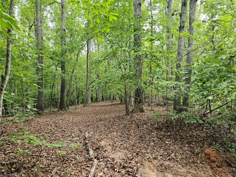 0 Massey Creek Road Madison, NC 27025