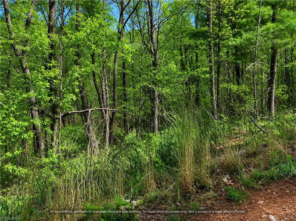 000-000 Big Rock Lane #Lots 8, 9 and 10 Lowgap, NC 27024