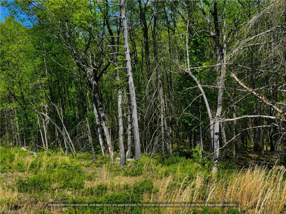 000-000 Big Rock Lane #Lots 8, 9 and 10 Lowgap, NC 27024