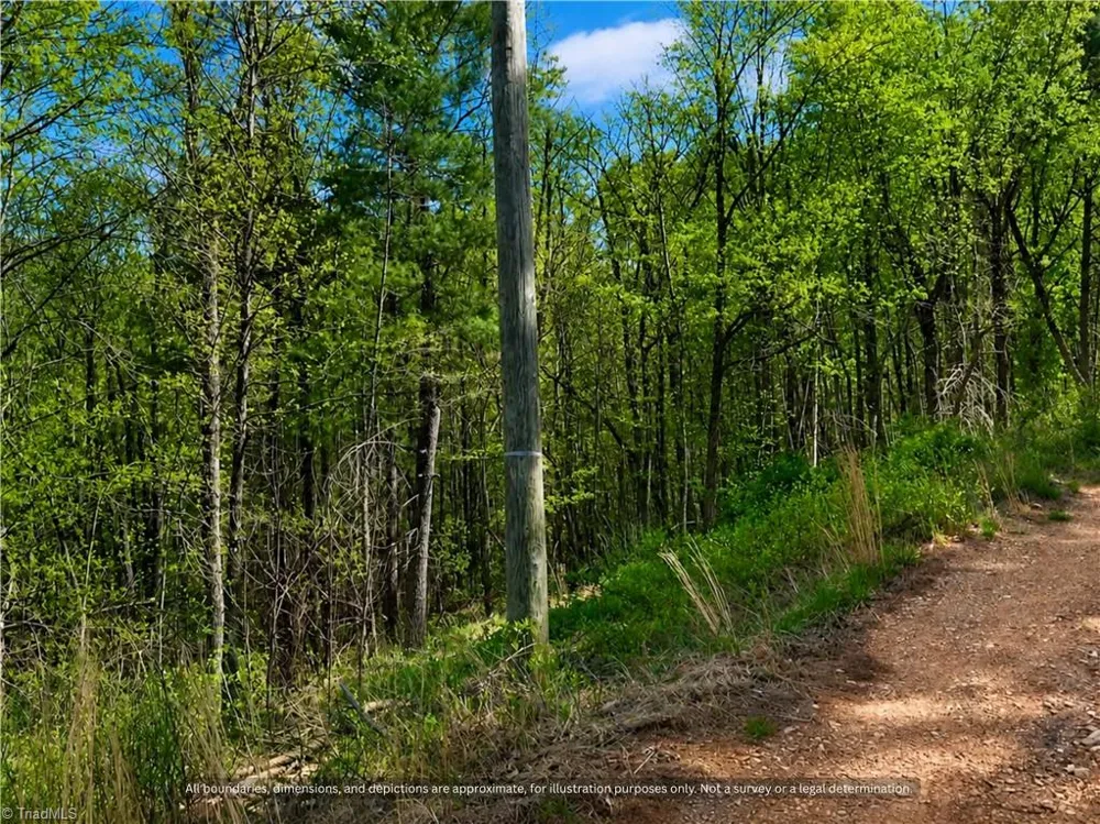 000-000 Big Rock Lane #Lots 8, 9 and 10 Lowgap, NC 27024