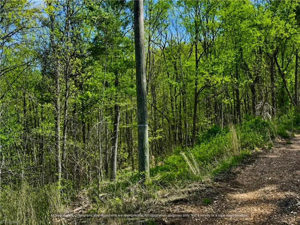 000-000 Big Rock Lane #Lots 8, 9 and 10 Lowgap, NC 27024