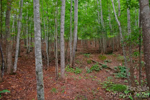 0 Creekside Circle #110