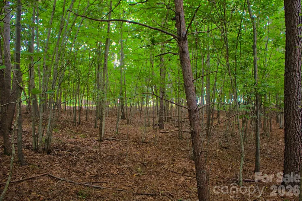 0 Creekside Circle #110 Rutherfordton, NC 28139
