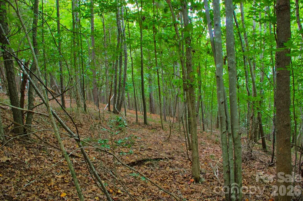 0 Creekside Circle #110 Rutherfordton, NC 28139