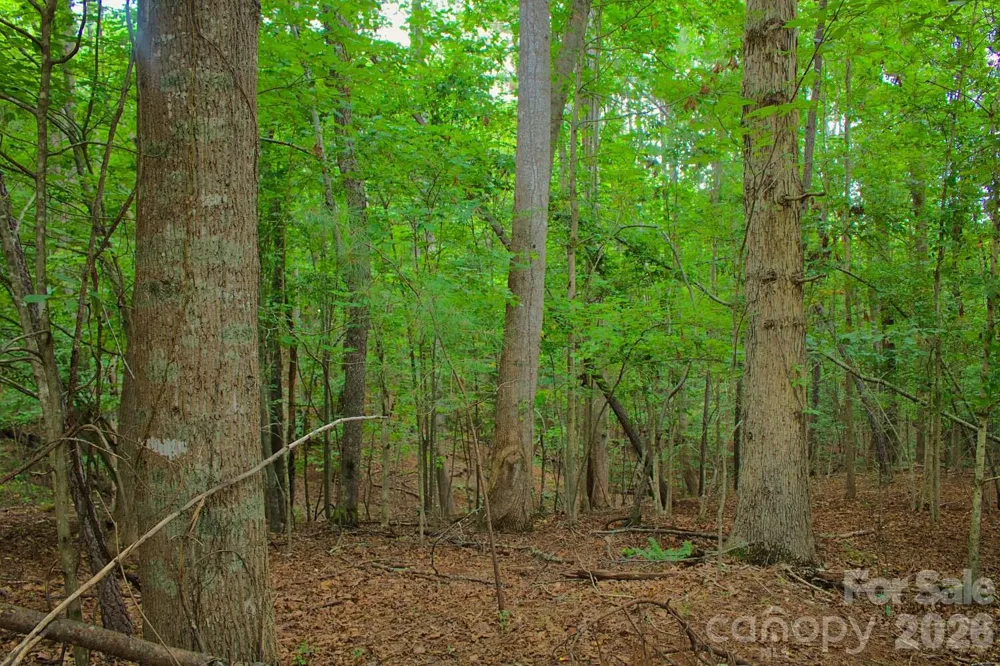 0 Creekside Circle #110 Rutherfordton, NC 28139