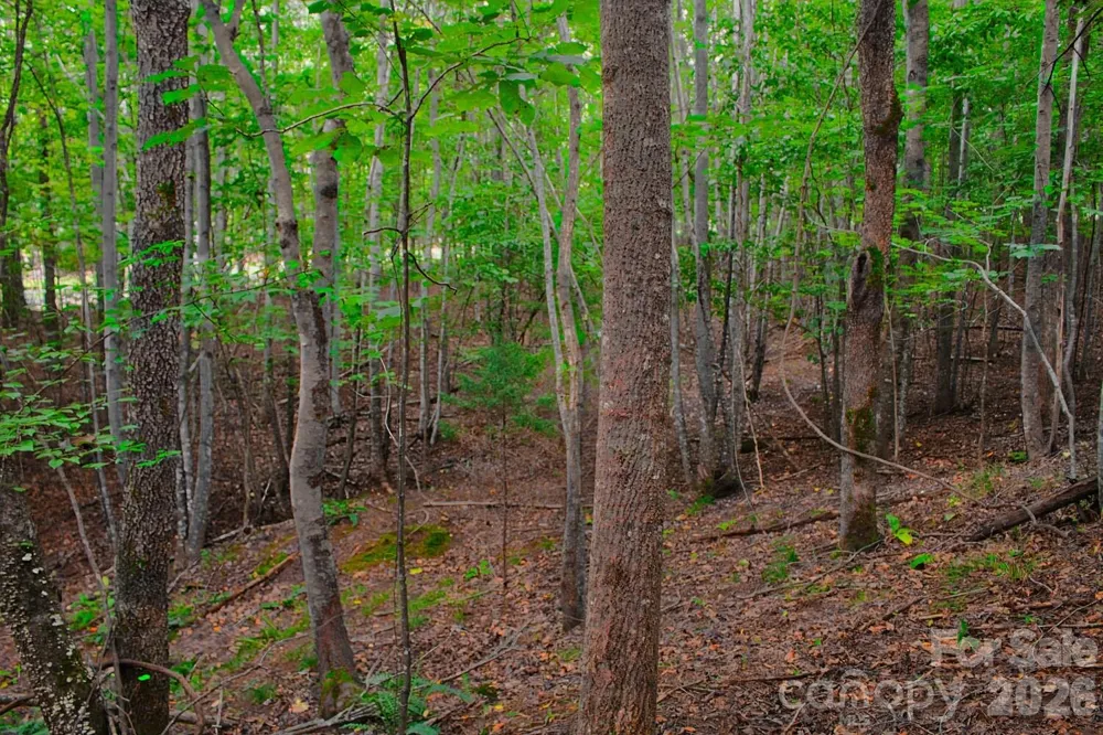 0 Creekside Circle #110 Rutherfordton, NC 28139