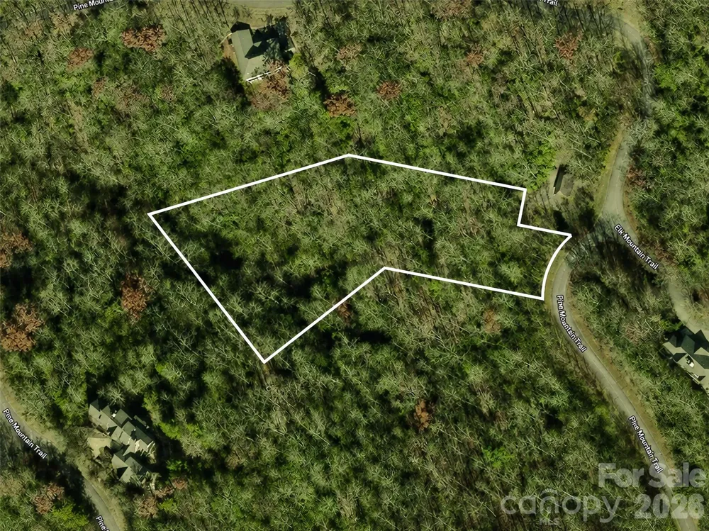 M11 Pine Mountain Trail Brevard, NC 28712