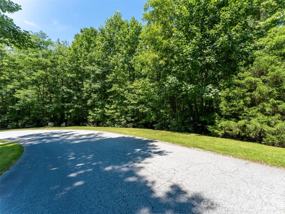 M11 Pine Mountain Trail Brevard, NC 28712