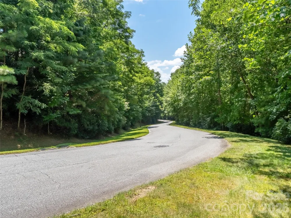 M11 Pine Mountain Trail Brevard, NC 28712