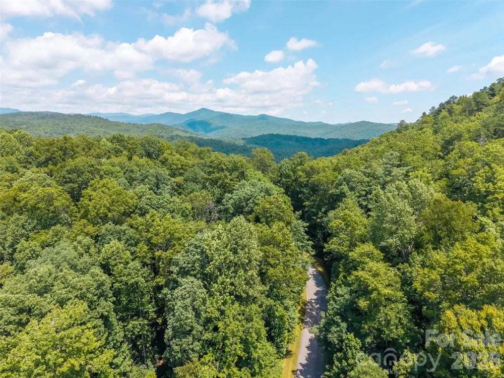 M11 Pine Mountain Trail Brevard, NC 28712