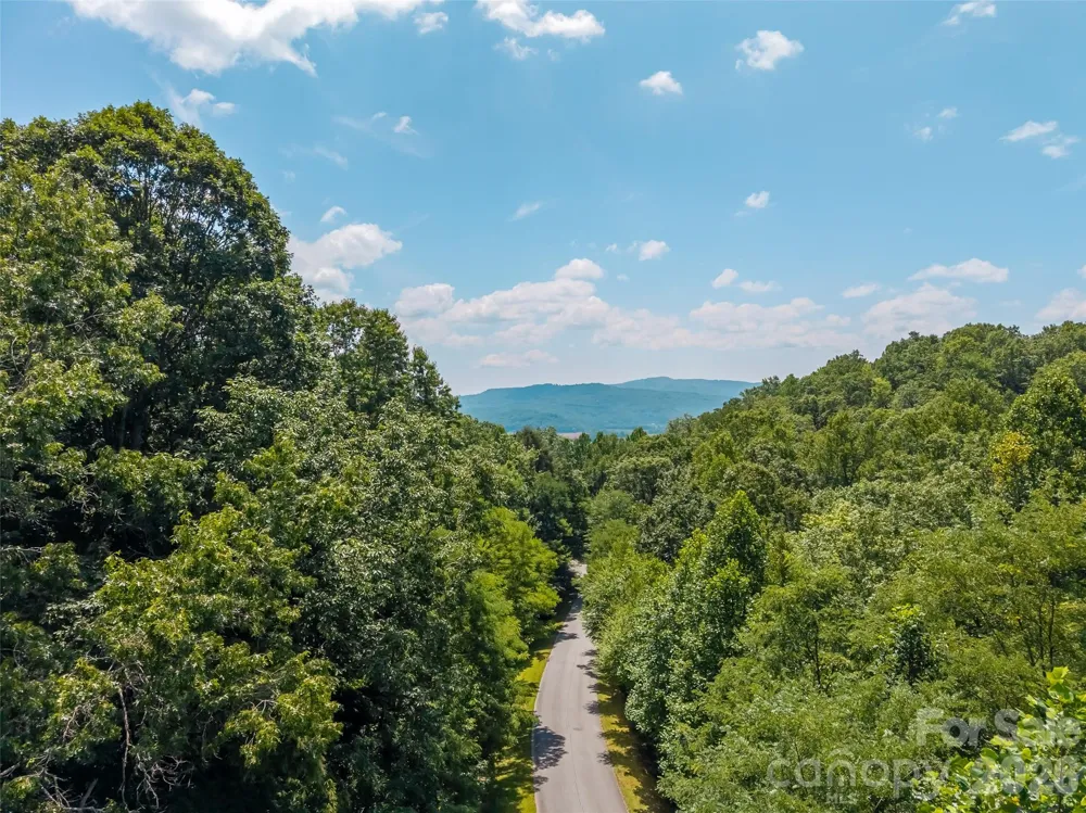 M11 Pine Mountain Trail Brevard, NC 28712