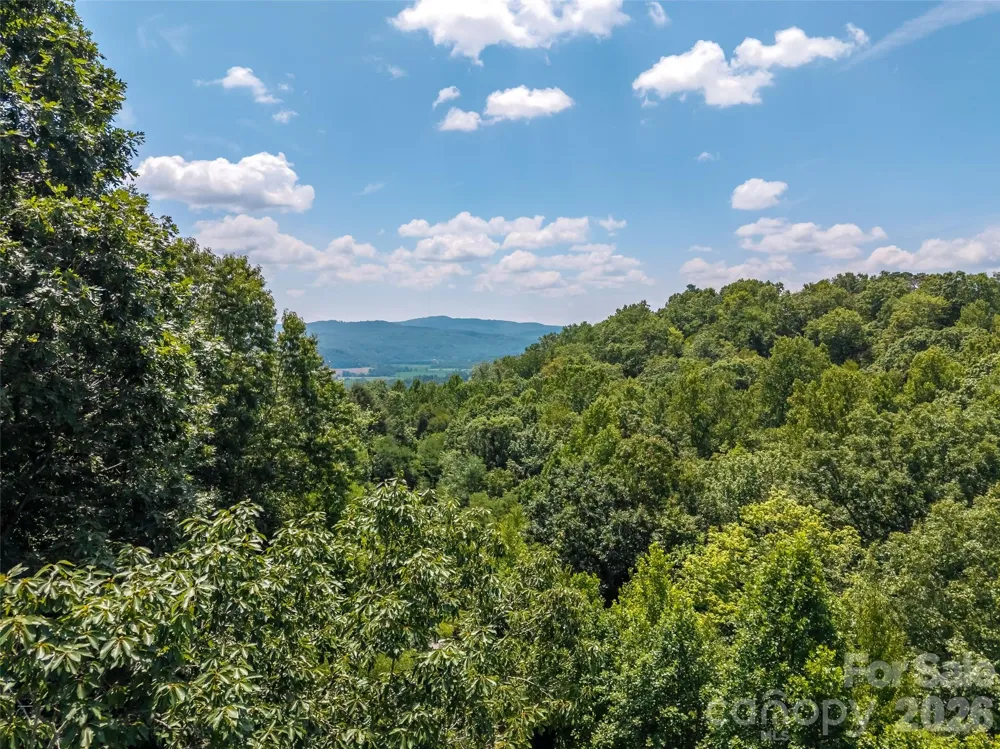 M11 Pine Mountain Trail Brevard, NC 28712