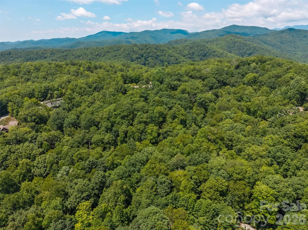 M11 Pine Mountain Trail Brevard, NC 28712