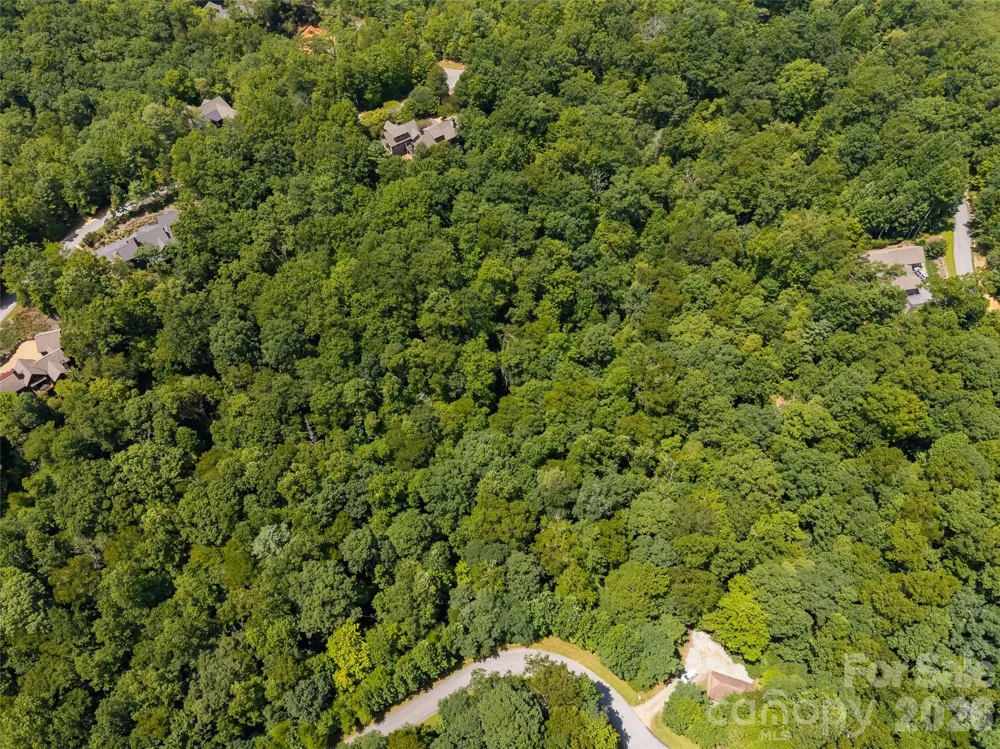 M11 Pine Mountain Trail Brevard, NC 28712