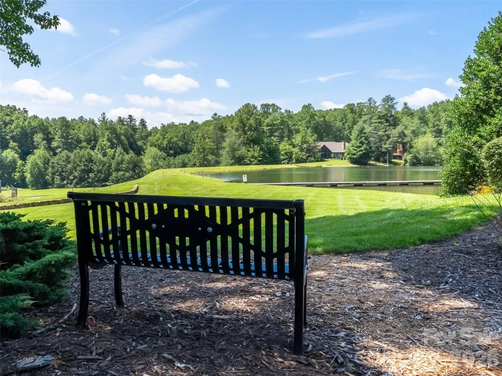 M11 Pine Mountain Trail Brevard, NC 28712