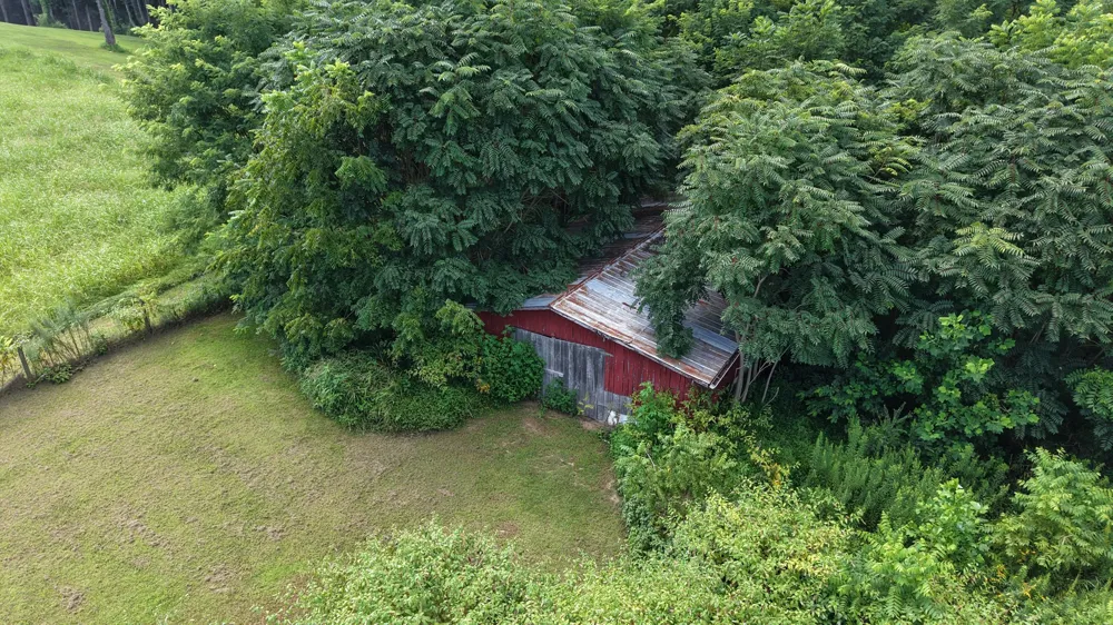 6254 Carthage Rd Pleasant Shade, TN 37145