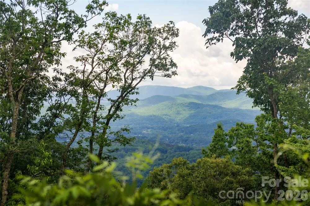131 Forge Crest Drive Mills River, NC 28759