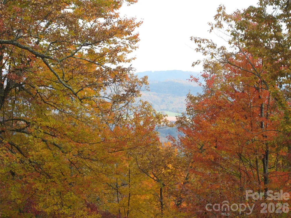 131 Forge Crest Drive Mills River, NC 28759