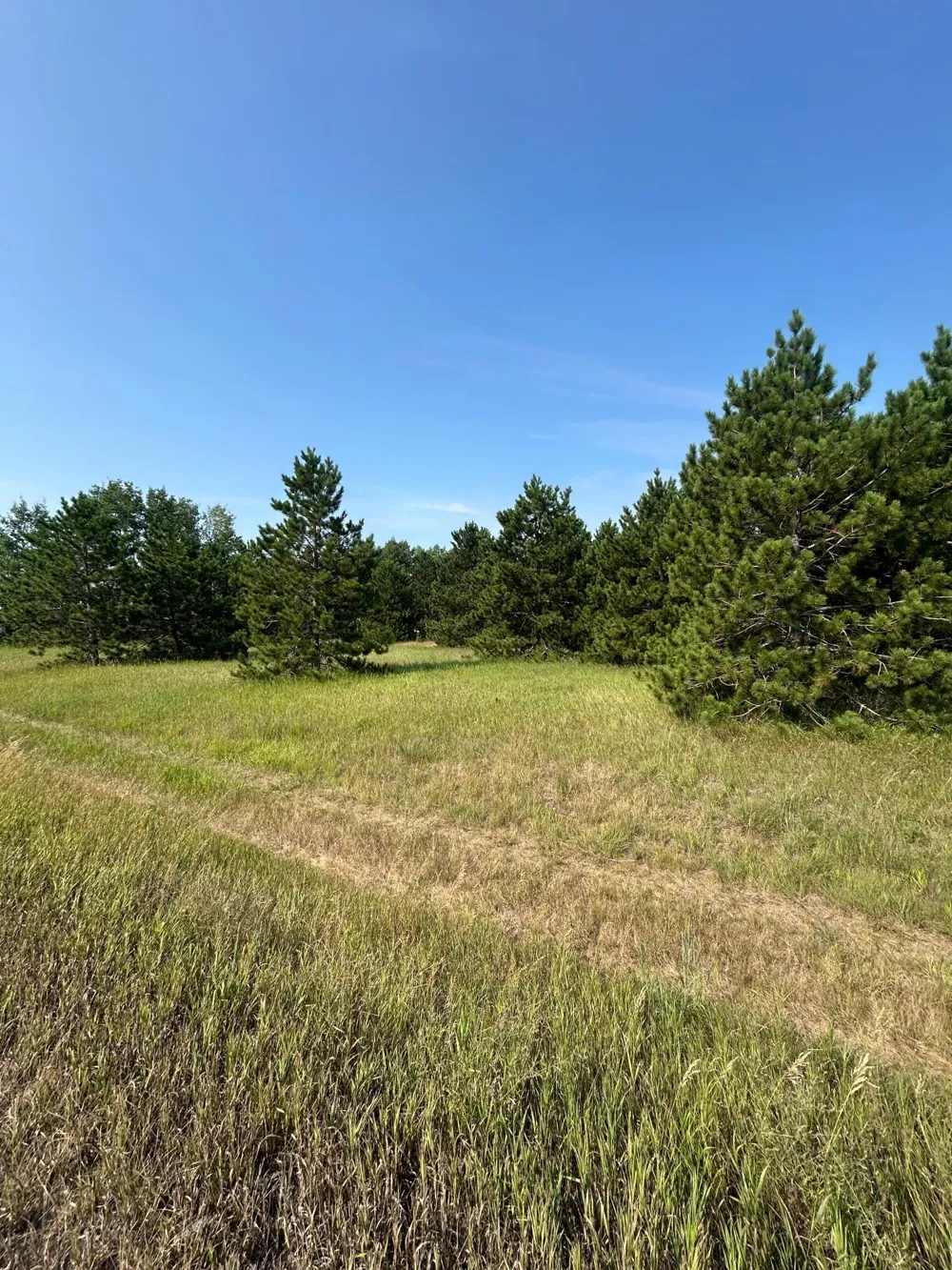 417 Henrietta Avenue Park Rapids, MN 56470