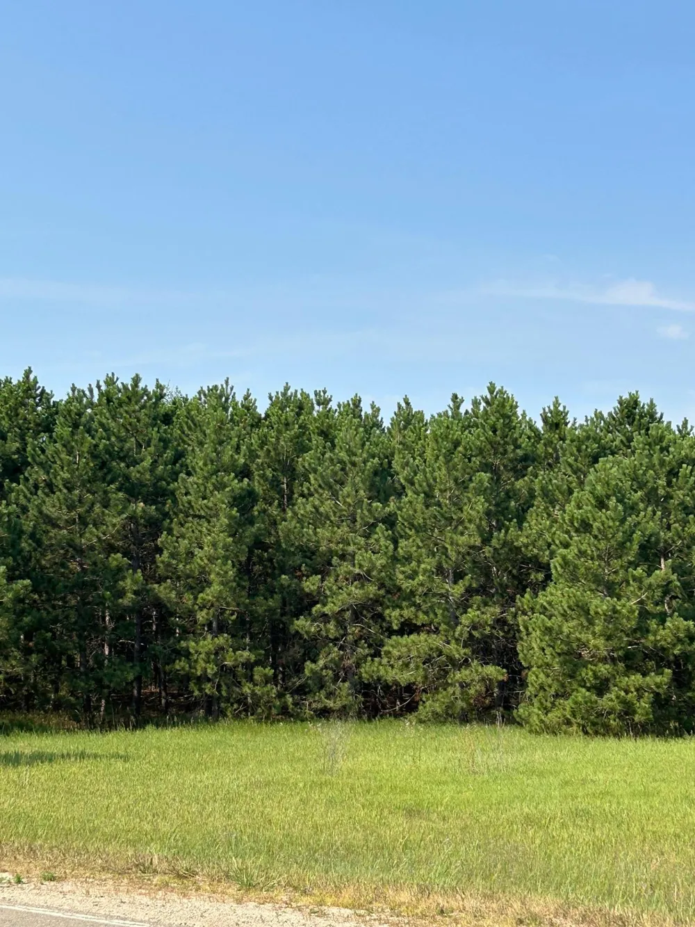 417 Henrietta Avenue Park Rapids, MN 56470