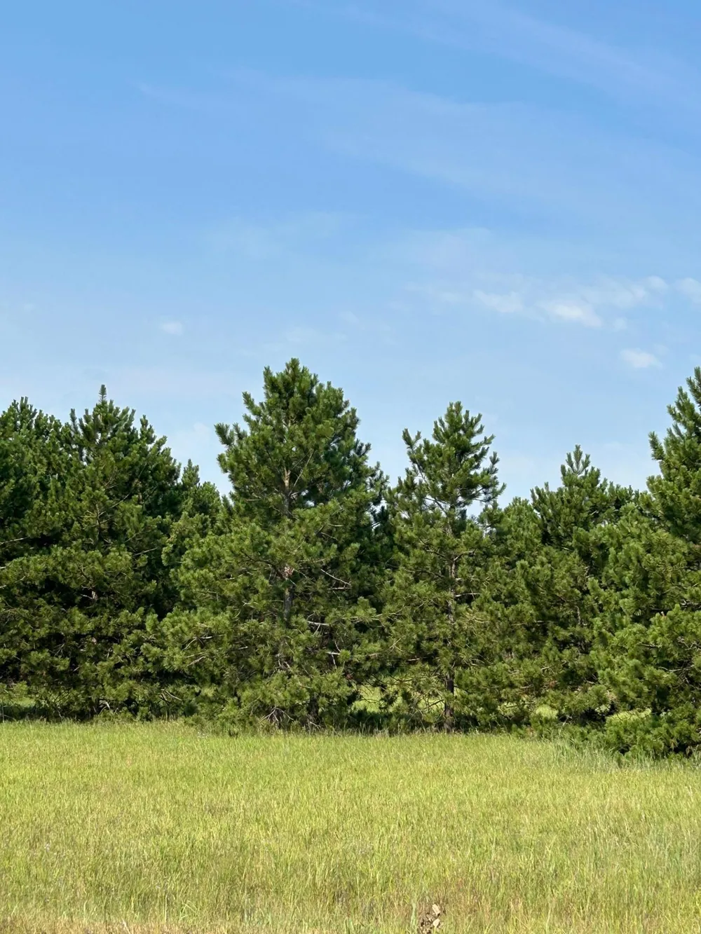 417 Henrietta Avenue Park Rapids, MN 56470